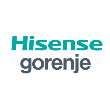 Hisense Logo